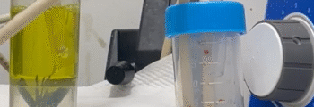 Milestone 10 Achieved: Heterogeneous Catalysts Validation